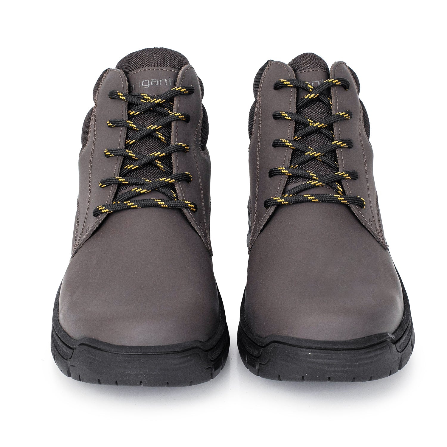 BORCEGO BISHOP MARRON