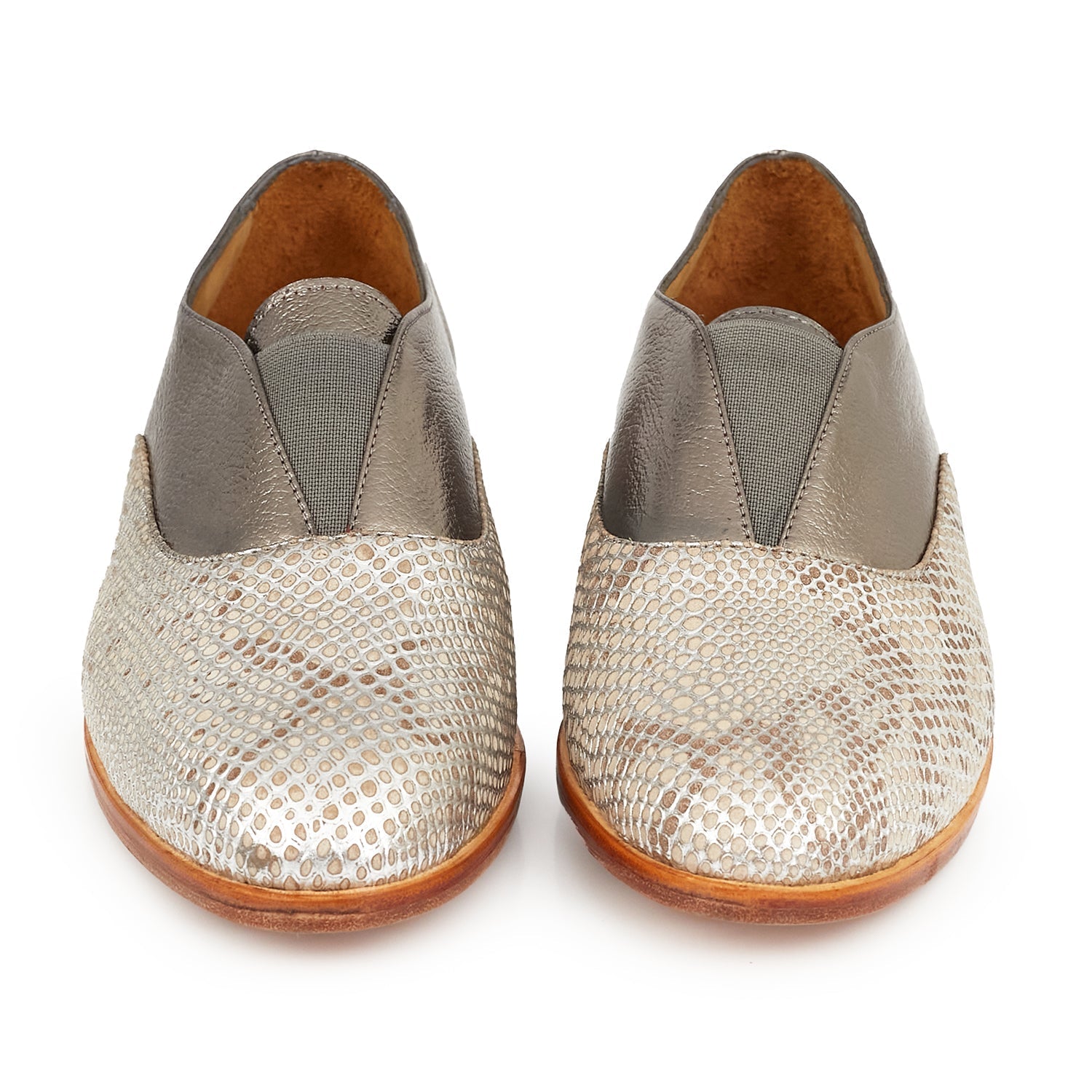 ABOTINADO BEGONIA PELTRE