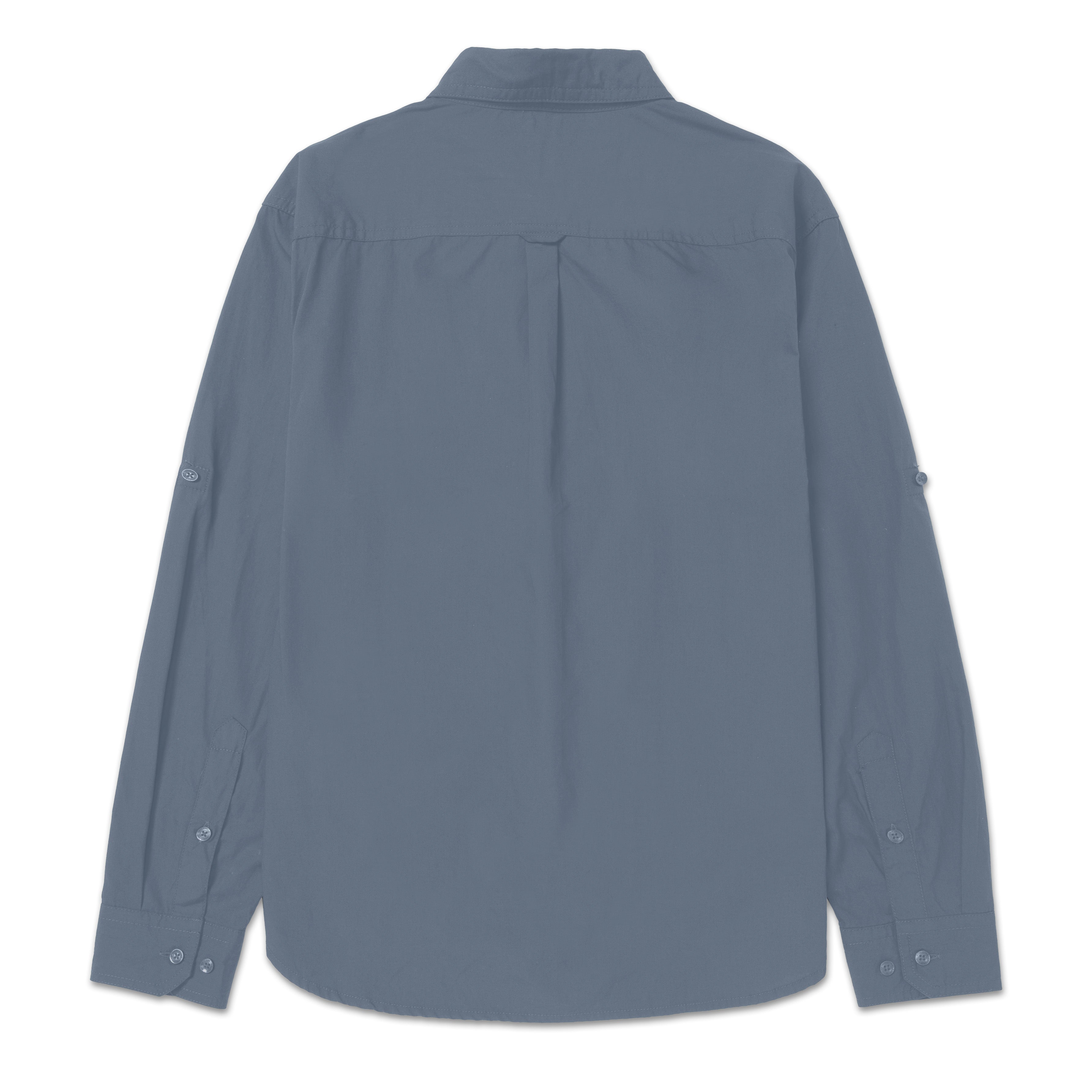 CAMISA FOUNDATION CONVERTIBLE