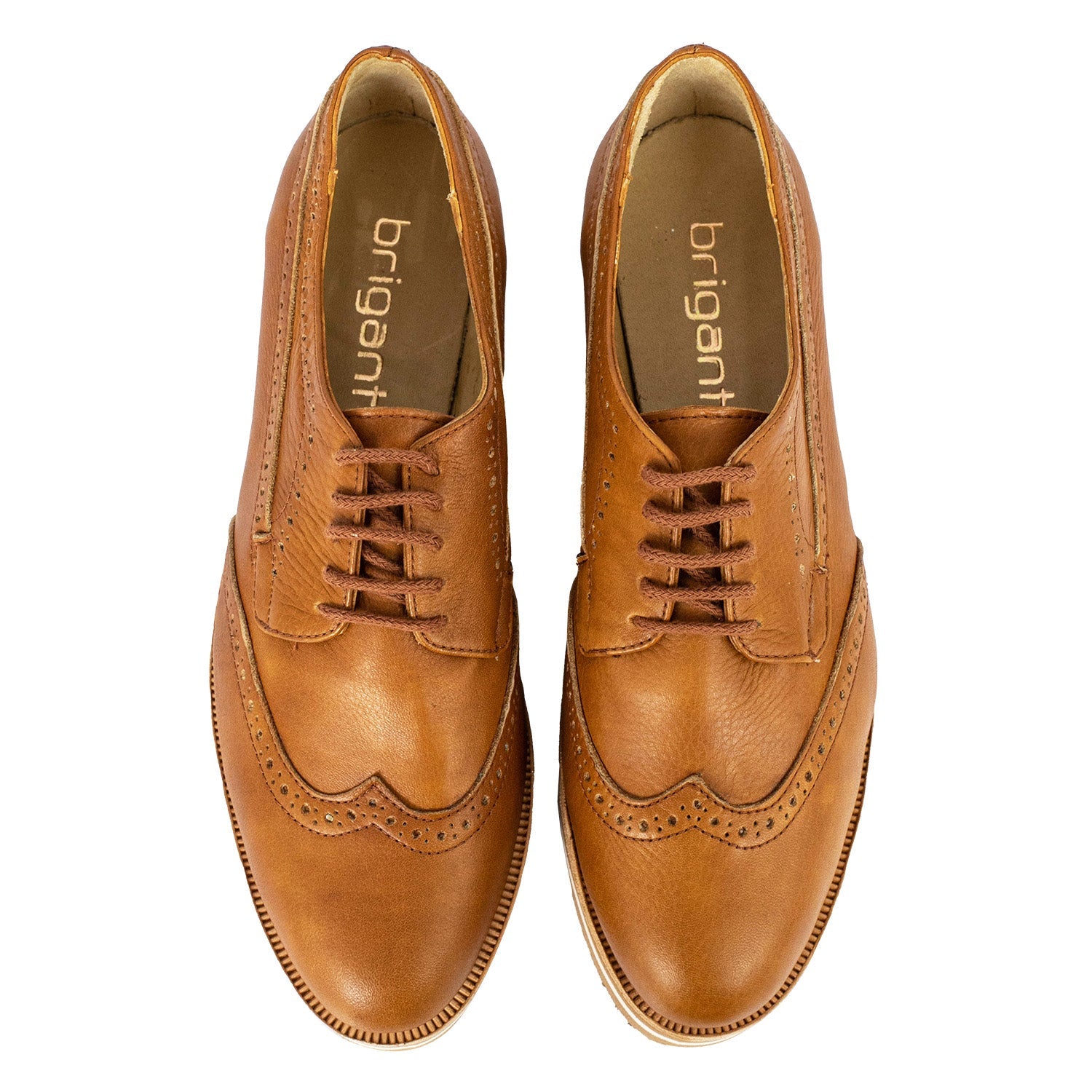 ABOTINADO HONDA SUELA