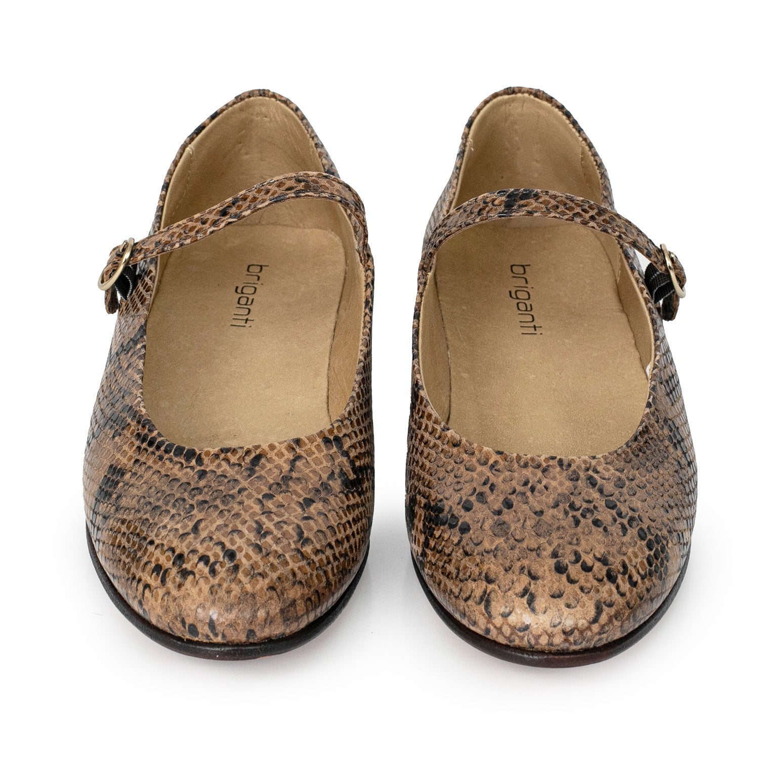 CHATITA LIRIO MARRON CROCO