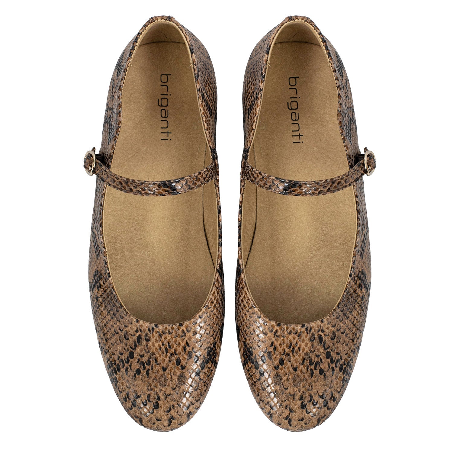 CHATITA LIRIO MARRON CROCO