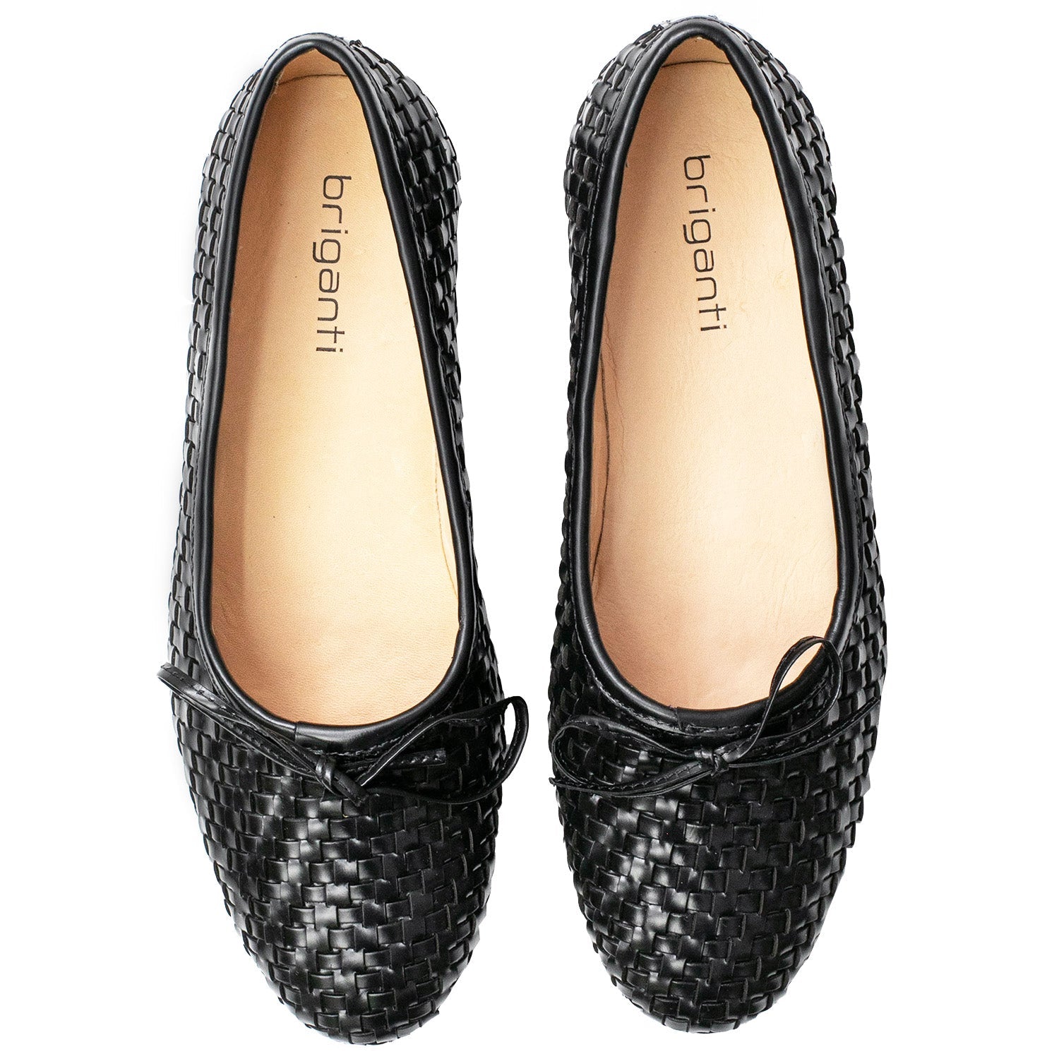 CHATITA PETUNIA NEGRA